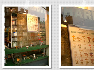 �t�@�[�}�V�[