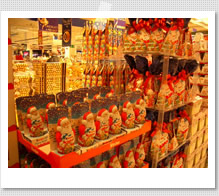 �V���R���̋G��