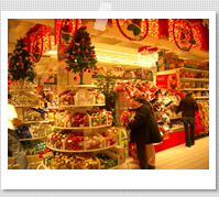 �V���R���̋G��